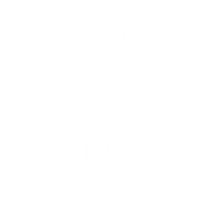 Icon (Before v36.30)