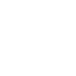 King Fang - Decal - Rocket Racing