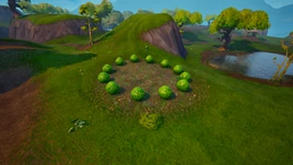 Circle of Hedges (S3) - Unnamed Location - Fortnite OG