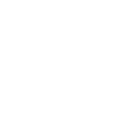 Steel Wool - Logo - Save the World
