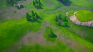 Tree Circle
