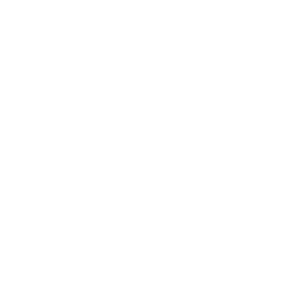 Ancestral Shift - Emote - Fortnite