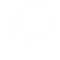 Voyager's Bone - Sidekick Emote - Fortnite
