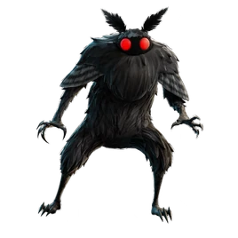 Full Image