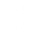 Flaky Feast - Emote - Fortnite