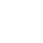Super Ovation - Emote - Fortnite