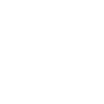 The Airplane - Emote - Fortnite