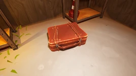 Suitcase of Patience - Container - Fortnite