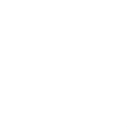 Icon (Before v39.30)