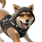 Miso (Shinobi Shōzoku - Yoru) - Sidekick - Fortnite