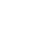 Bug