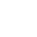 Lights Out - Emote - Fortnite