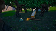 Campsite