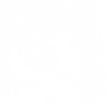 Finely Tooned - Decal - Rocket Racing