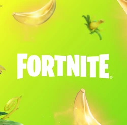 33.30 (Square) - Ecosystem Updates - Fortnite