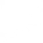 Wings - Decal - Rocket Racing