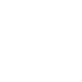 PalmTree
