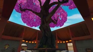 Giant Cherry Tree