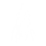 Tempest Flight - Emote - Fortnite