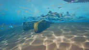 Current underwater view of the legs of the Big Rig