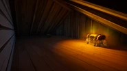Attic