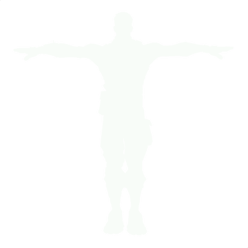 T-Pose  Fortnite Emote 