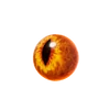 Raptor Eye - Material - Fortnite