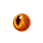 Raptor Eye - Material - Fortnite.png (53 KB) Raptor Eye