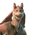 Jar Jar Binks - Outfit - Fortnite