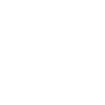 Sonic - Decal - Rocket Racing