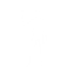 Card Drop - Emote - Fortnite