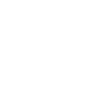 Night Out - Emote - Fortnite