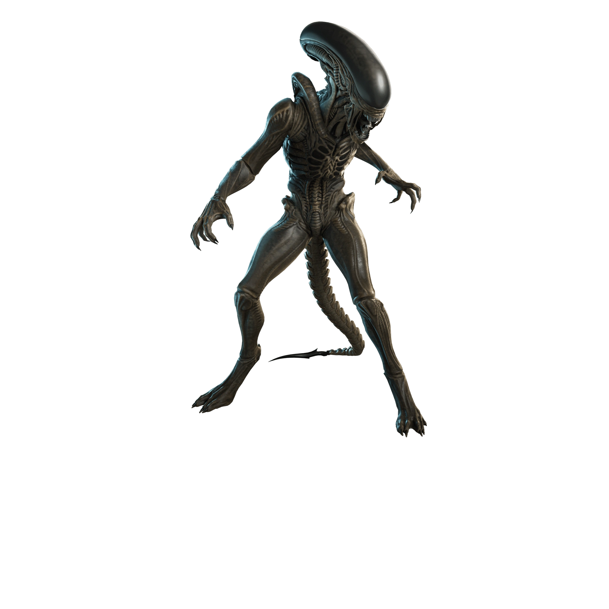 Xenomorph (Alien: Earth)