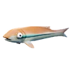 Small Fry (Tan Small Fry) - Item - Fortnite