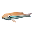Small Fry (Tan Small Fry) - Item - Fortnite