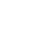 Dice