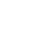 Icon Hardware