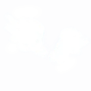 Old Icon
