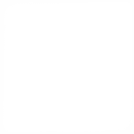 Solid Gold - Decal - Rocket Racing