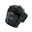 True North - Back Bling - Fortnite