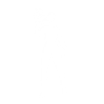 Conch Call - Emote - Fortnite