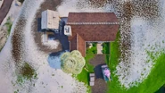 Top View (February 12th 2026)