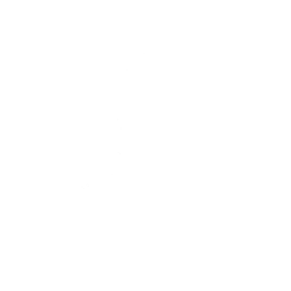 Lil' Carpet Ride - Emote - Fortnite