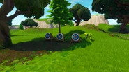 Target Shooting