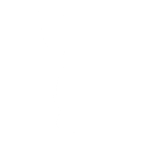 Disc Spinner - Emote - Fortnite