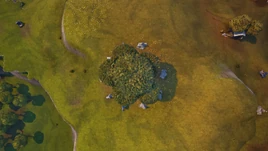 Top View