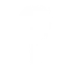 Take the Mantle - Emote - Fortnite