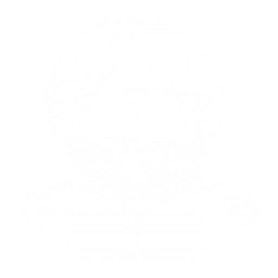 Stan Marsh - Decal - Rocket Racing