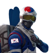 Icon (Before v34.10)