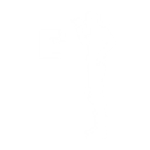 Coffee Break - Emote - Fortnite